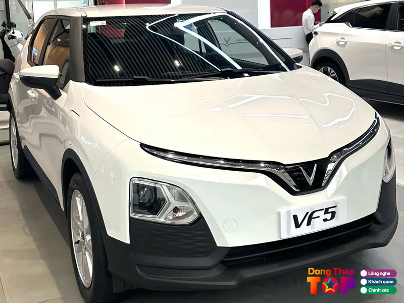 Dich-vu-cho-thue-xe-dien-tu-lai-vf5-dongthaptoplist