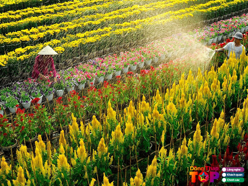Lang-hoa-kieng-sa-dec-dongthaptoplist