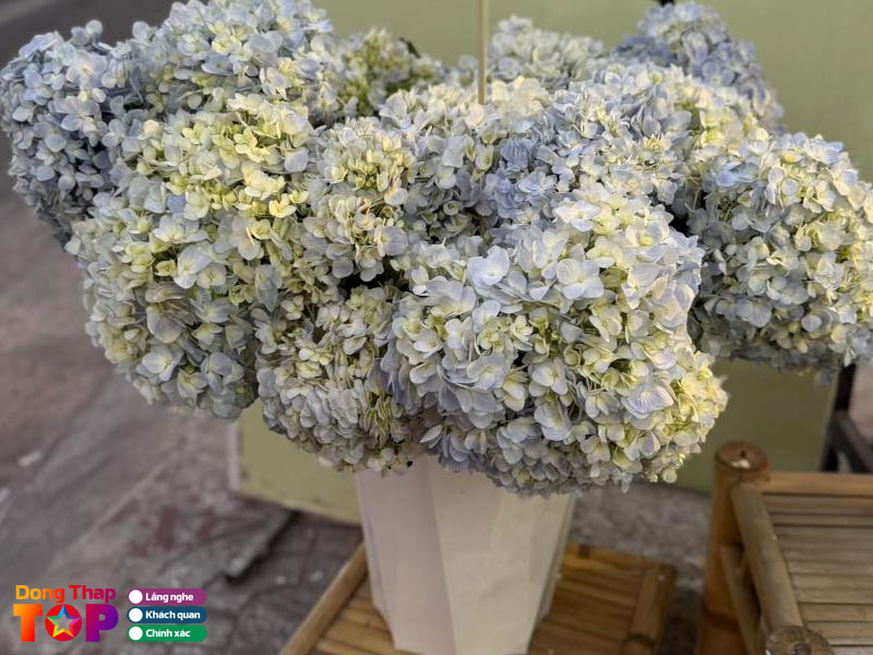 Shop-hoa-moc-dongthaptoplist