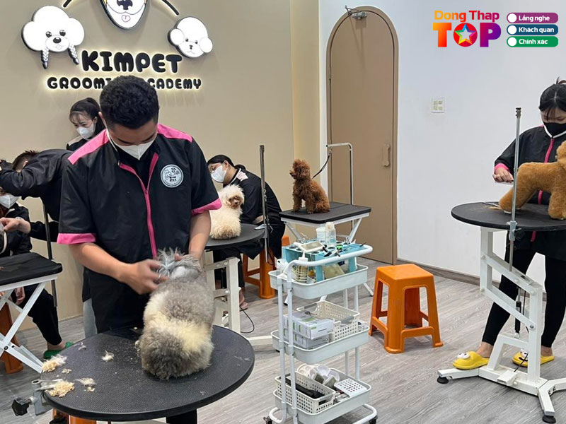 Kim-pet-dongthaptoplist