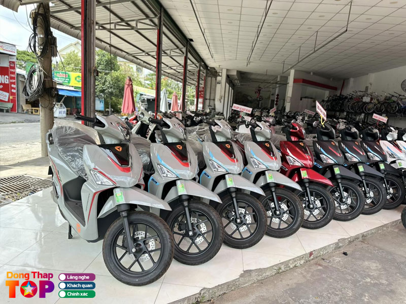 Xe-dien-vinh-truong-dongthaptoplist
