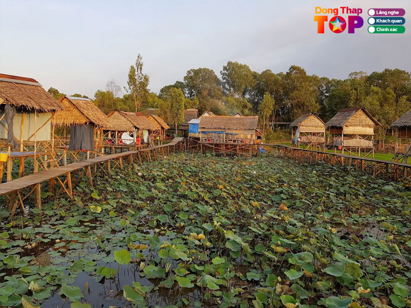 Hai-lua-homestay-dongthaptoplist